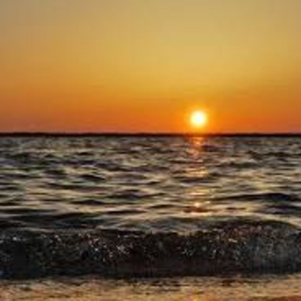 Meet your Posher, Tamara